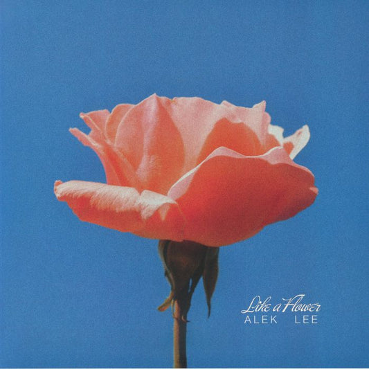 Alek Lee – Like A Flower (LP, Milky Pink Splatter, Antinote, 2026) Front Cover