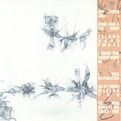 Johnny Coley – As I Slip Into The Sky (LP, Lobby Art Records, 2026) Back Cover