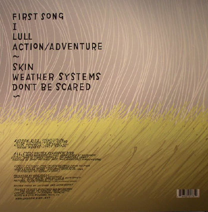 Andrew Bird – Weather Systems (LP, Wegawam Music, 2015) Back Cover