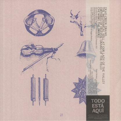 Old Saw – Country Tropics (LP, Lobby Art Records, 2026) Back Cover