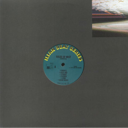 Fields Of Mist - Illuminated60 (12") (180g)