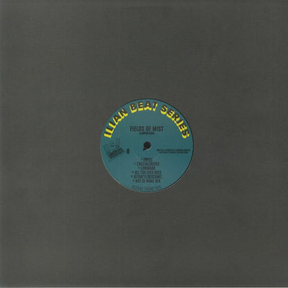 Fields Of Mist - Illuminated60 (12") (180g)