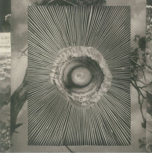 Bukkha – Into The Void (12", System Music, 2023) Front Cover