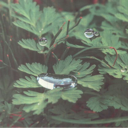 Cousin – Homesoon (12", Mood Hut, 2023) Front Cover