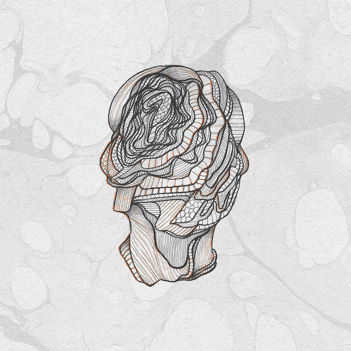 Calibre – Little Foot (5xLP+Box Set, Signature Records, 2025) Front Cover