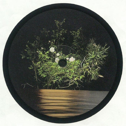 Ben La Desh - Fine Rise EP (12")