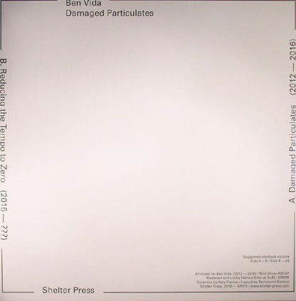 Ben Vida - Damaged Particulates (LP)