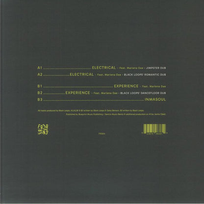 Black Loops - Experience EP (12")