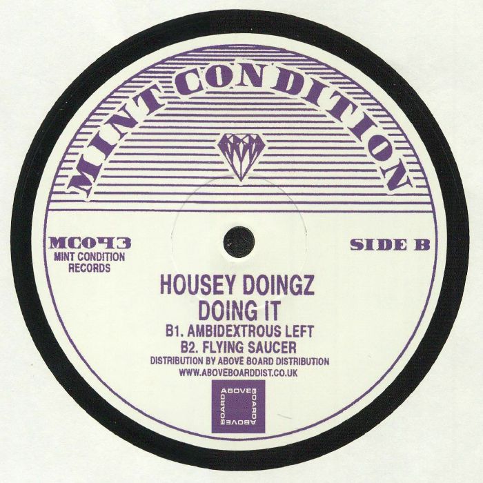 Housey Doingz - Doing It (12")