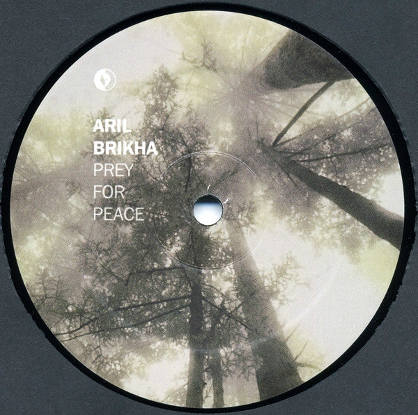 Aril Brikha – Prey For Peace (12", Music Man Records, 2005) Image 4