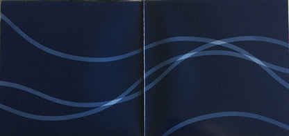 Carl Craig – The Album Formerly Known As... (3x12", Planet E, 2005) Back Cover