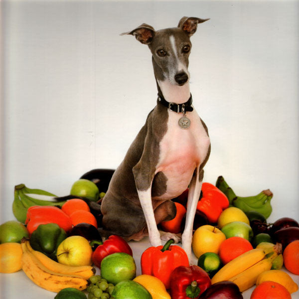 Shellac – Excellent Italian Greyhound (LP+CD, Touch And Go, 2007) Image 3