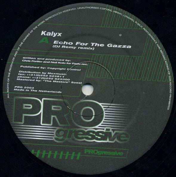 Kalyx – Echo For The Gazza (12", Progressive, 2000) Front Cover