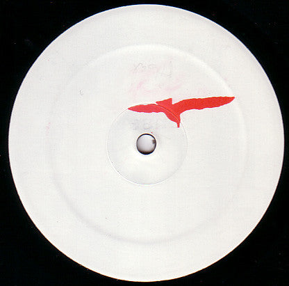 John Daly – Birds (12", Feel Music, 2006) Back Cover