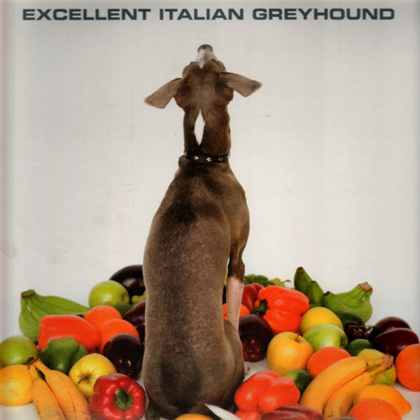 Shellac – Excellent Italian Greyhound (LP+CD, Touch And Go, 2007) Image 4