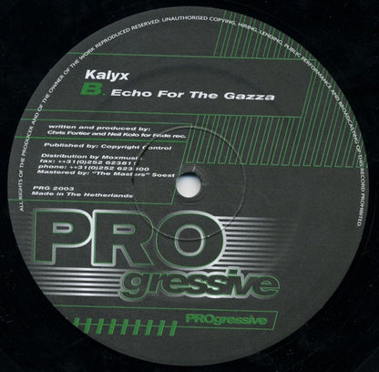 Kalyx – Echo For The Gazza (12", Progressive, 2000) Back Cover