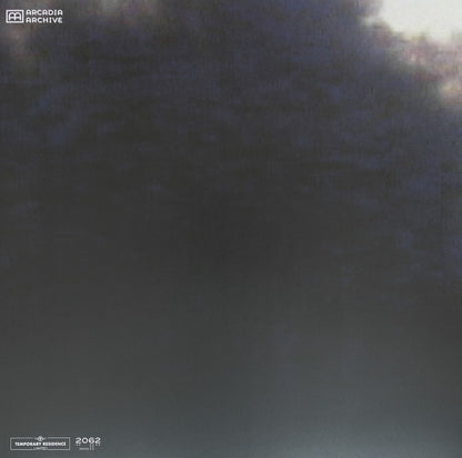 William Basinski – The Disintegration Loops (8xLP, Temporary Residence Limited, 2026) Image 18