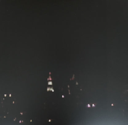 William Basinski – The Disintegration Loops (Arcadia Archive Edition) (8xLP, Temporary Residence Limited, 2026) Image 29
