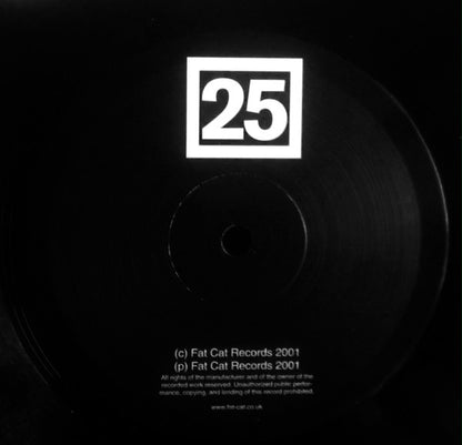 Alejandra & Aeron / QT? – Split Series #13 (12", FatCat Records, 2001) Image 5