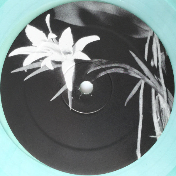 Duplex – Autosample EP (12", Green, Transparent, Frantic Flowers, 2007) Back Cover