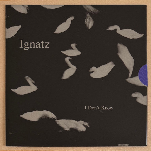 Ignatz – I Don't Know (LP, By The Bluest Of Seas, 2026) Front Cover