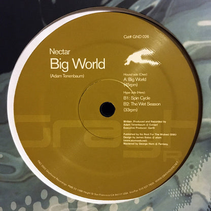 Nectar – Big World (12", Grayhound Recordings, 2002) Front Cover