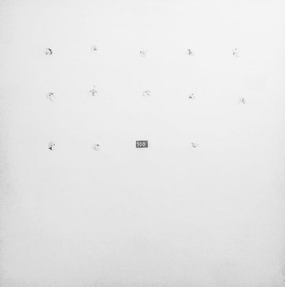 Alejandra & Aeron / QT? – Split Series #13 (12", FatCat Records, 2001) Front Cover
