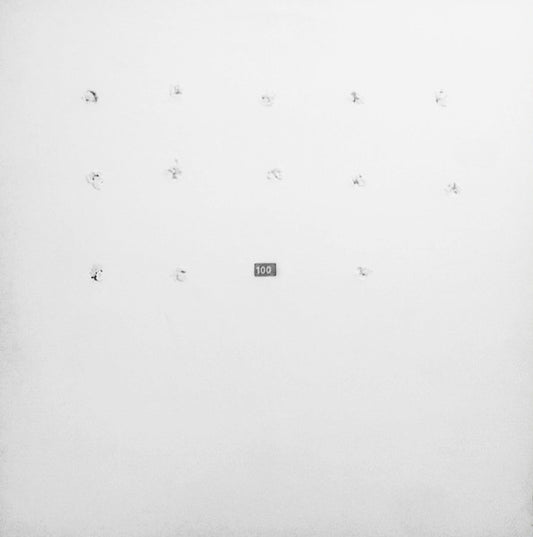 Alejandra & Aeron / QT? – Split Series #13 (12", FatCat Records, 2001) Front Cover