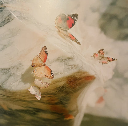 Daphni – Butterfly (2xLP, Pink, Jiaolong, 2026) Image 3