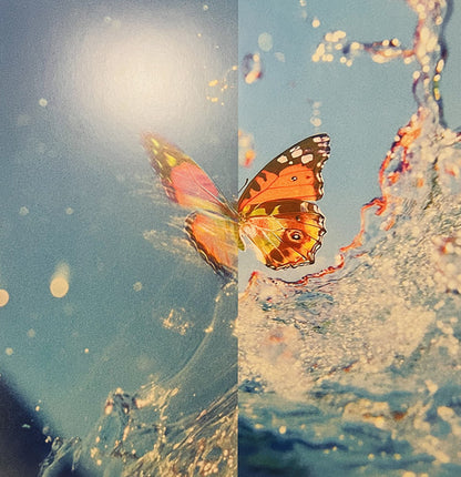 Daphni – Butterfly (2xLP, Pink, Jiaolong, 2026) Back Cover