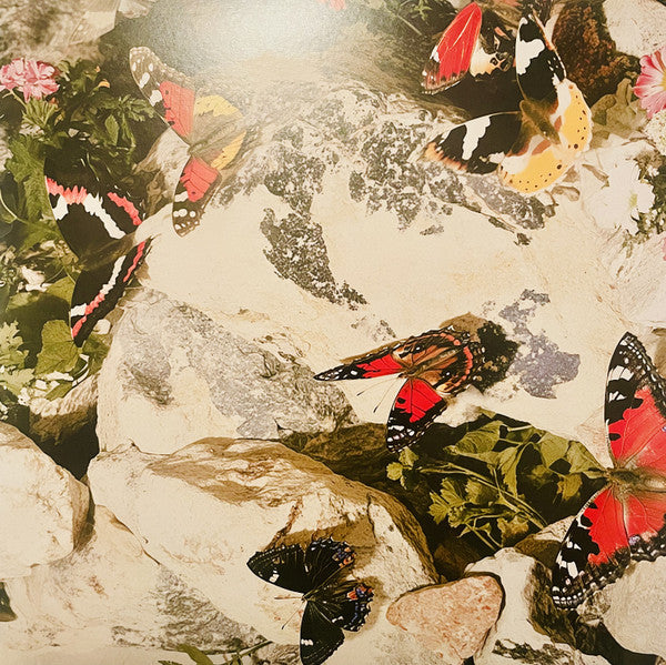 Daphni – Butterfly (2xLP, Pink, Jiaolong, 2026) Image 4