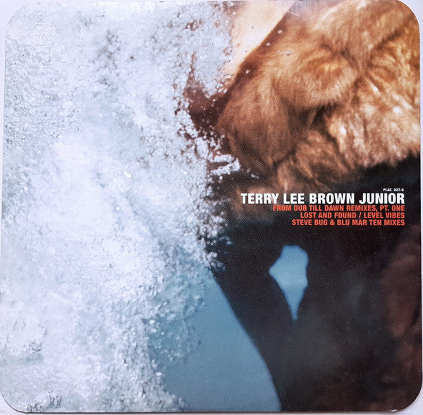 Terry Lee Brown Junior – From Dub Till Dawn Remixes, Pt. One (12", Plastic City, 2001) Front Cover