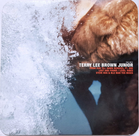 Terry Lee Brown Junior – From Dub Till Dawn Remixes, Pt. One (12", Plastic City, 2001) Front Cover
