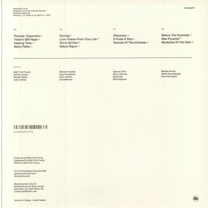 Phi-Psonics - Expanding To One (LP)