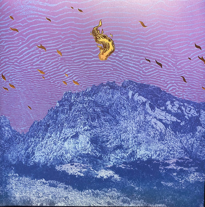 Pelican – Flickering Resonance (LP+LP, Orange, Run For Cover Records, 2025) Front Cover