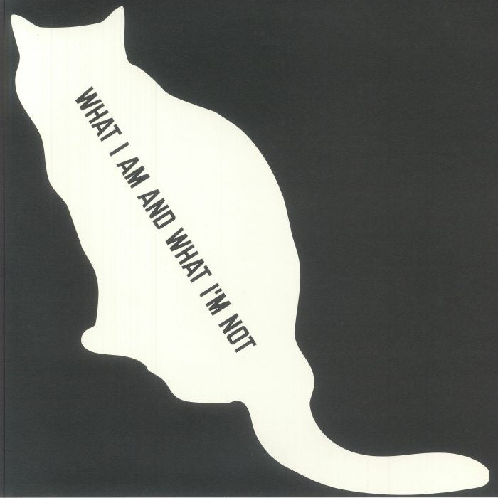 Sarter Kit – What I Am And What I’m Not (LP, 180g, Squama, 2025) Back Cover