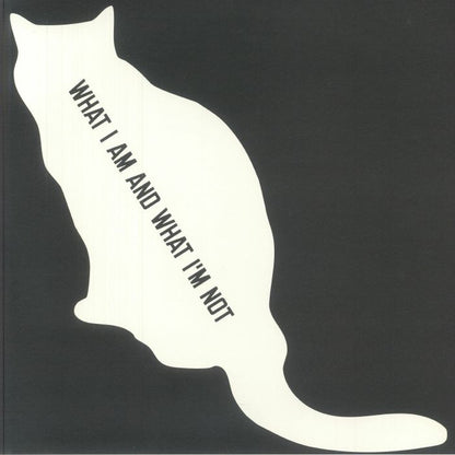 Sarter Kit – What I Am And What I’m Not (LP, 180g, Squama, 2025) Back Cover