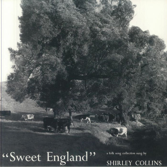 Shirley Collins - Sweet England (LP)