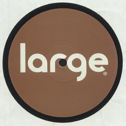 Roy Davis Jr. & Jay Juniel - Transitions (12")