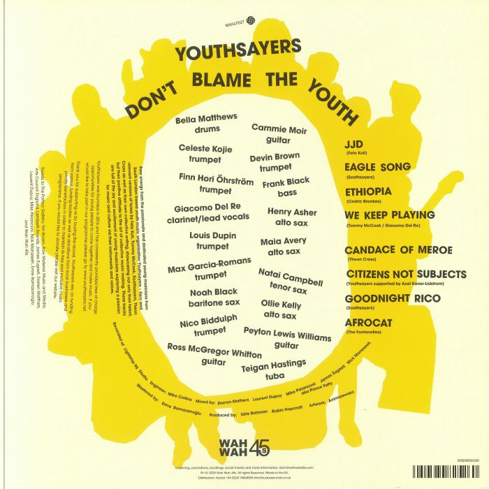 Youthsayers - Don't Blame the Youth (LP)