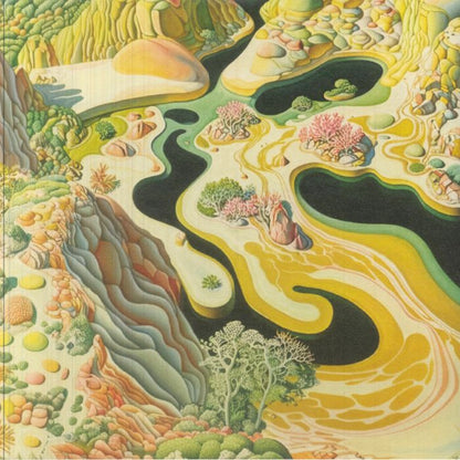 Abby Echiverri Clay Wilson – Contours (12", Acid Camp Records, 2026) Front Cover
