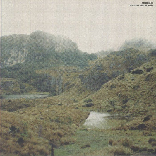 Acid Pauli – Den Mahlstrom Rauf (12", All Is Acid, 2025) front cover