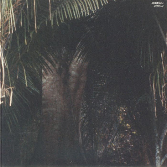 Acid Pauli – Urwald (12", All Is Acid, 2026) Front Cover