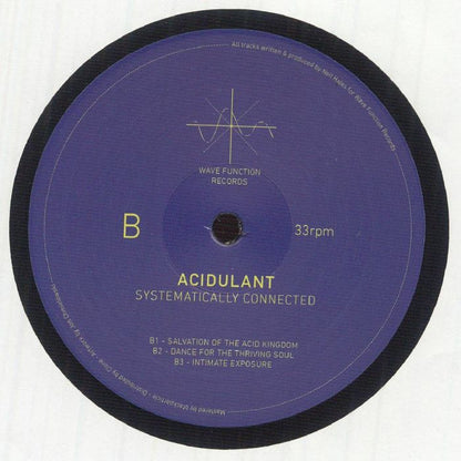 Acidulant – Systematically Connected (12", Wave Function Records, 2026) Back Cover