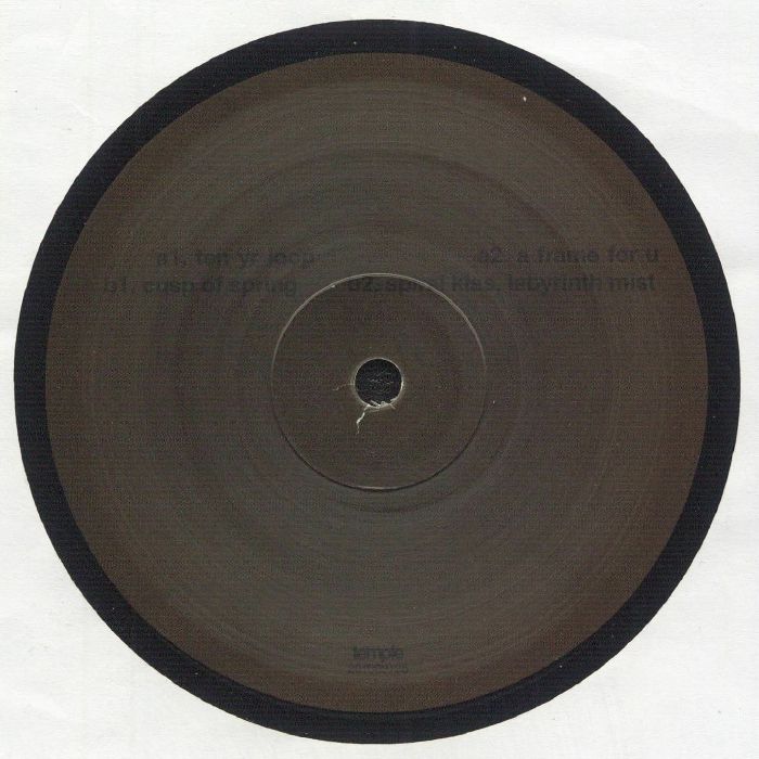 Adam Feingold – Nothing Is A Field (12", Temple, 2025) Back Cover