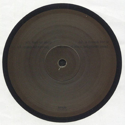 Adam Feingold – Nothing Is A Field (12", Temple, 2025) Back Cover