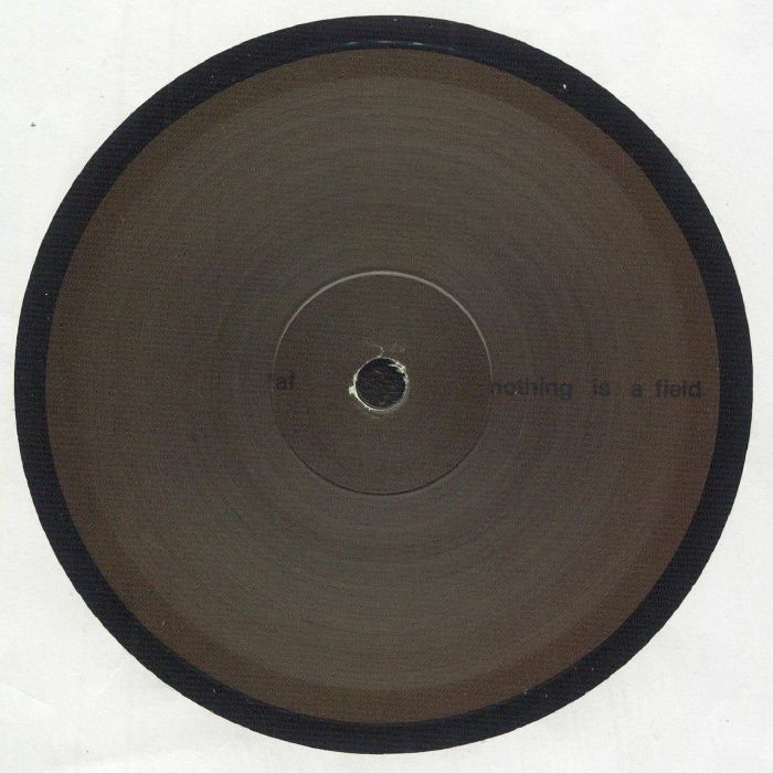 Adam Feingold – Nothing Is A Field (12", Temple, 2025) Front Cover