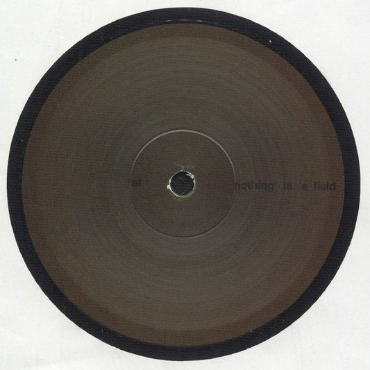 Adam Feingold – Nothing Is A Field (12", Temple, 2025) Front Cover