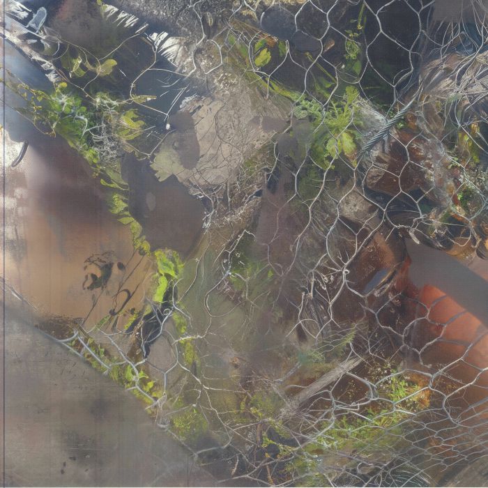 Aedis – Saense (12", Animalia, 2025) Front Cover