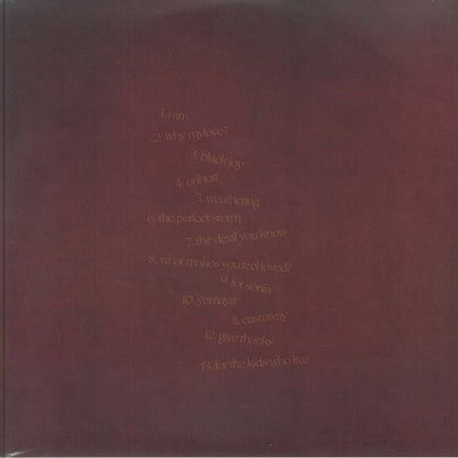 Aja Monet – When The Poems Do What They Do (2xLP, Gatefold, Drink Sum Wtr, 2024) Back Cover